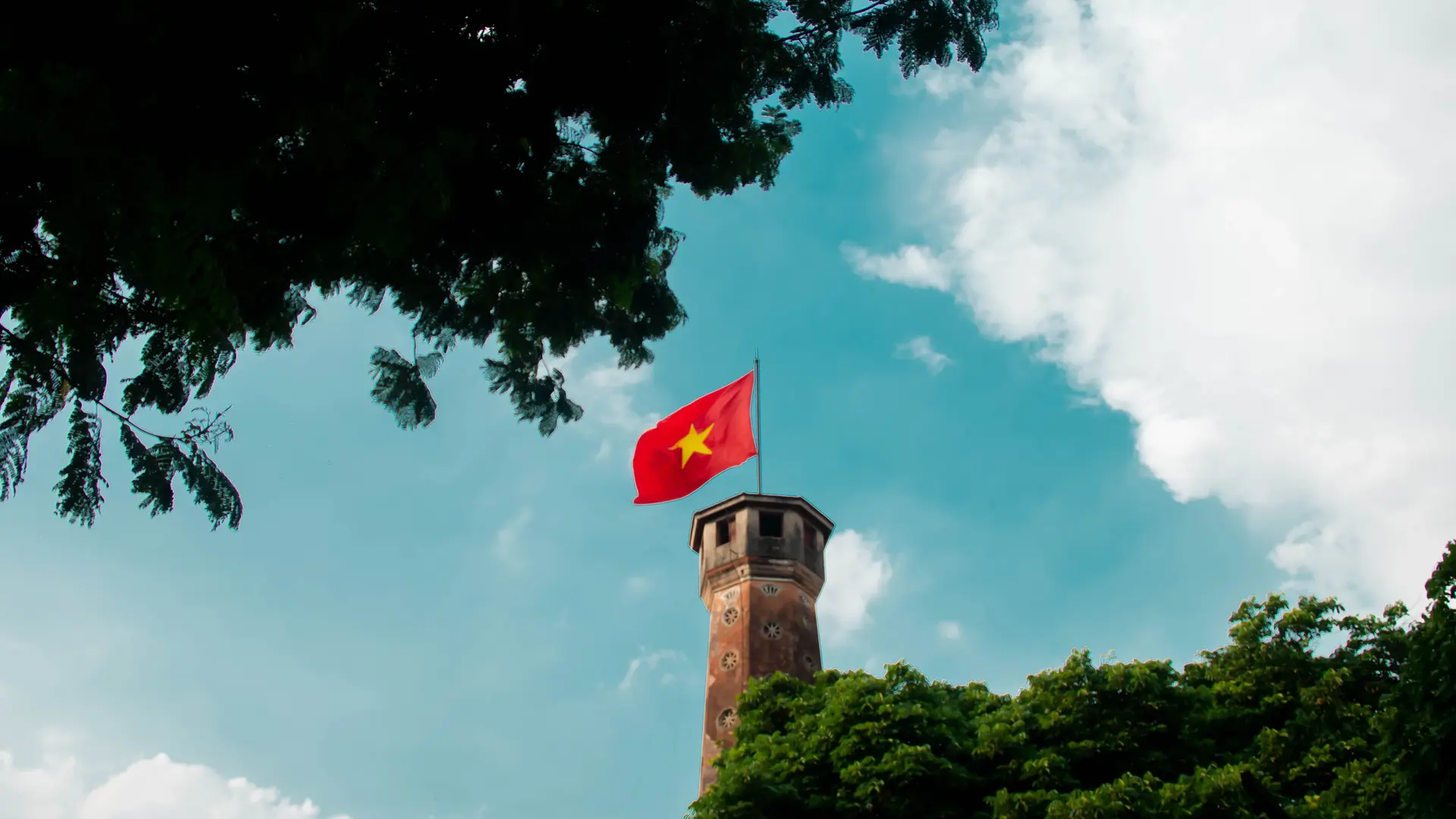 Luxury limousine from Hanoi to Ninh Binh - Premium shuttle service