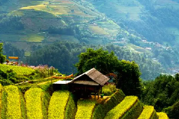 Hanoi to Sapa limousine shuttle bus route - Ninh Binh Shuttle