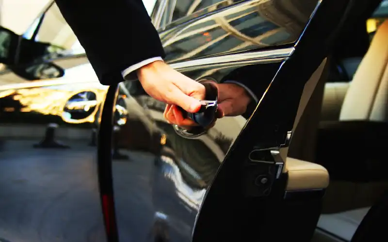 Professional driver helping passengers before departure