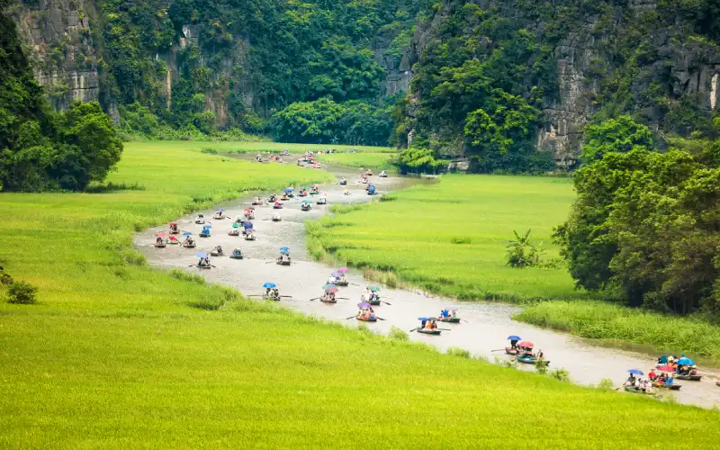 Rice fields and limestone mountains in Tam Coc, Ninh Binh