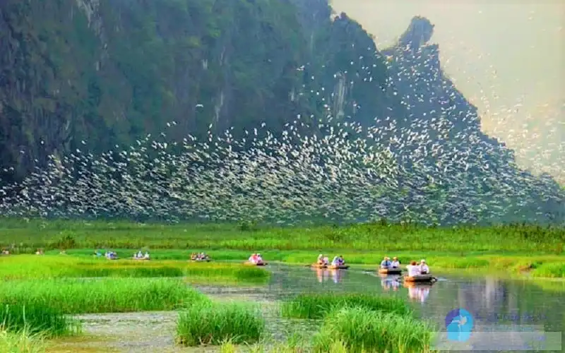 Lush green landscape and walking trails in Thung Nham Bird Park Ninh Binh