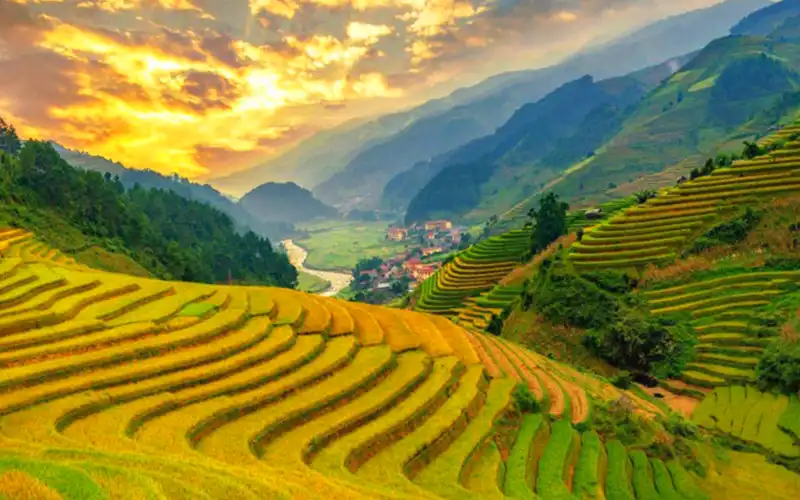 Green rice terraces in Sapa Vietnam