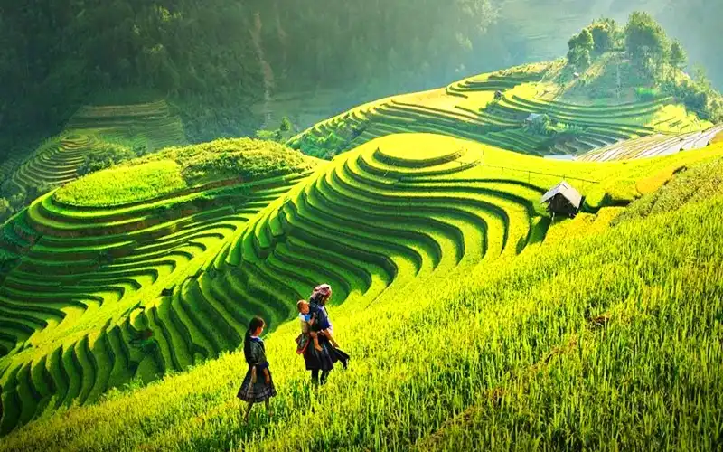 best-things-to-do-in-sapa-01 Best things to do in Sapa with rice terraces and mountain scenery