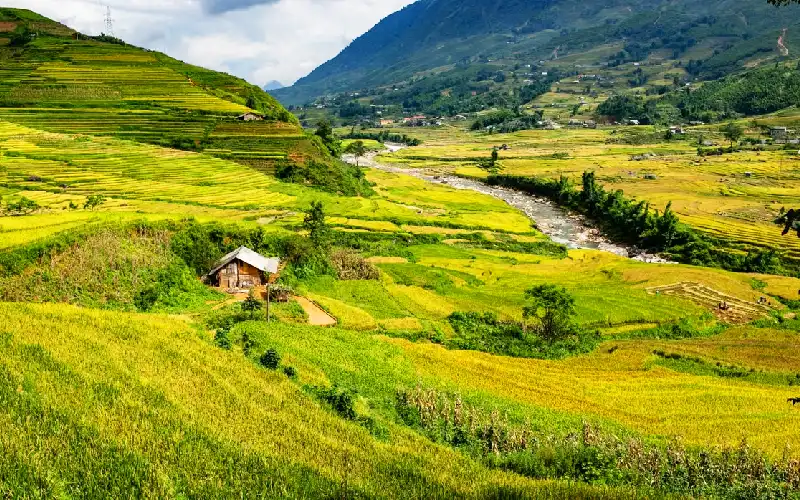 lao-chai-ta-van-sapa-02 Lao Chai and Ta Van villages in Sapa