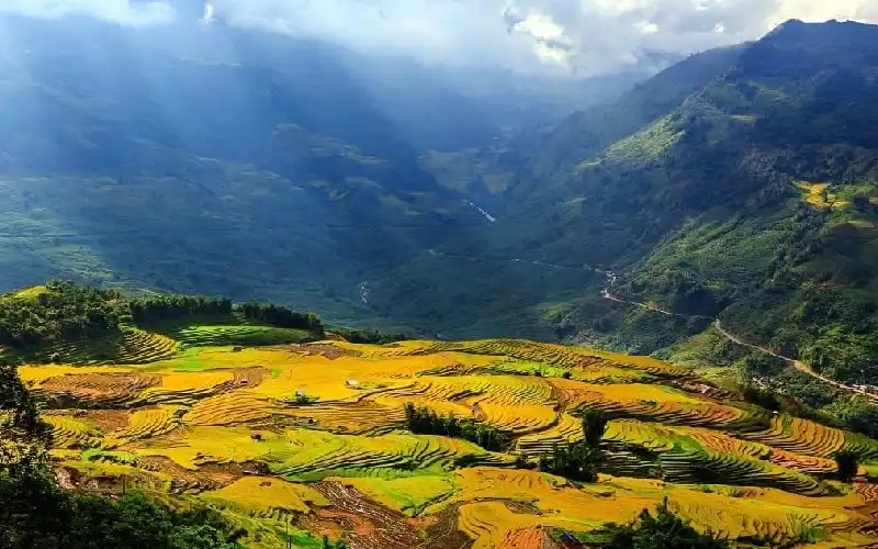 Lao Chai Ta Van trekking in Sapa