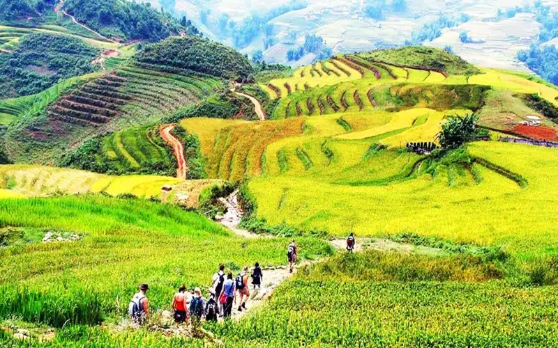 sapa-trekking-cost Sapa trekking experience through mountain villages and rice terraces