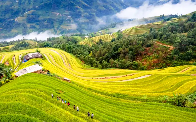Sapa trekking through rice terraces and mountain villages