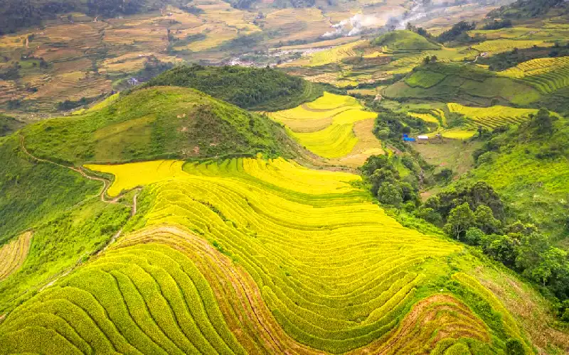 Trekking through rice terraces in Sapa Vietnam Trekking through rice terraces in Sapa Vietnam