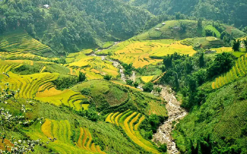 sapa-vietnam-mountain-landscape Sapa mountain landscape in northern Vietnam