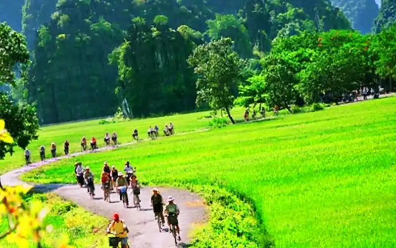 Cycling through the countryside in Ninh Binh