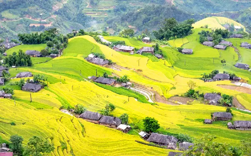 Traditional villages and rice terraces in the Lao Chai and Ta Van area near Sapa