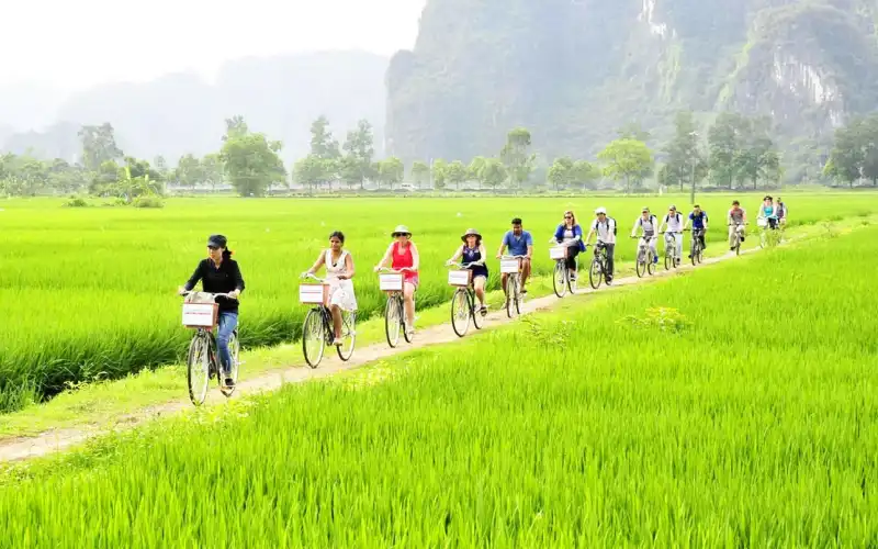 ninh-binh-countryside-cycling-family Family cycling through the Ninh Binh countryside