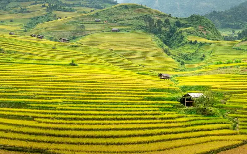 Sapa rice terraces and mountain landscape in Northern Vietnam